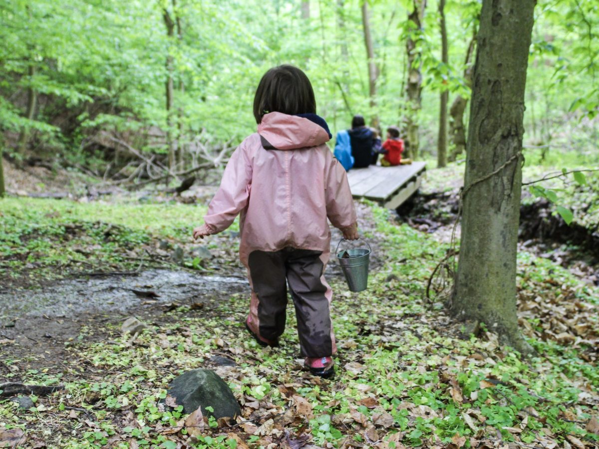 Early Childhood: How to bring more nature into preschool